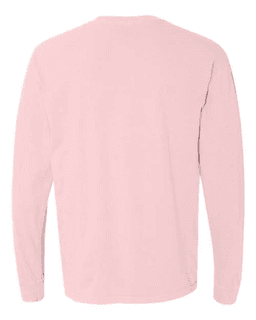 Sample of 6.1 Ounce Ringspun Cotton Long Sleeve T-Shirt in Blossom from side back