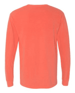 Sample of 6.1 Ounce Ringspun Cotton Long Sleeve T-Shirt in BrightSalmon from side back