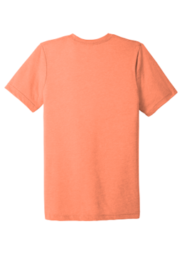 Sample of Canvas 3413 - Unisex Triblend Short-Sleeve T-Shirt in ORANGE TRIBLEND from side back