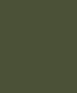 Sample of Next Level 6071 - Men's Triblend Long-Sleeve Crew in MILITARY GREEN from side sleeveleft