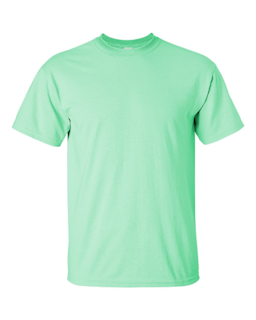 Sample of Gildan 2000 - Adult Ultra Cotton 6 oz. T-Shirt in MINT GREEN from side front