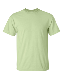 Sample of Gildan 2000 - Adult Ultra Cotton 6 oz. T-Shirt in PISTACHIO from side front