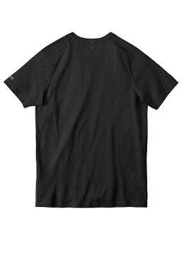 Sample of Carhartt Force Cotton Delmont Short Sleeve T-Shirt in Black from side back