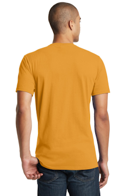 Sample of District The Concert Tee in Gold from side back