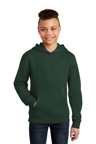 Sample of District Youth V.I.T. Fleece Hoodie DT6100Y in Forest Green style