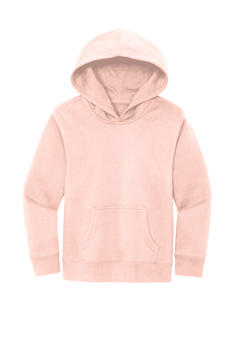 Sample of District Youth V.I.T. Fleece Hoodie DT6100Y in Rosewater Pink style