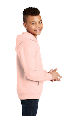 Sample of District Youth V.I.T. Fleece Hoodie DT6100Y in Rosewater Pink from side sleeveleft